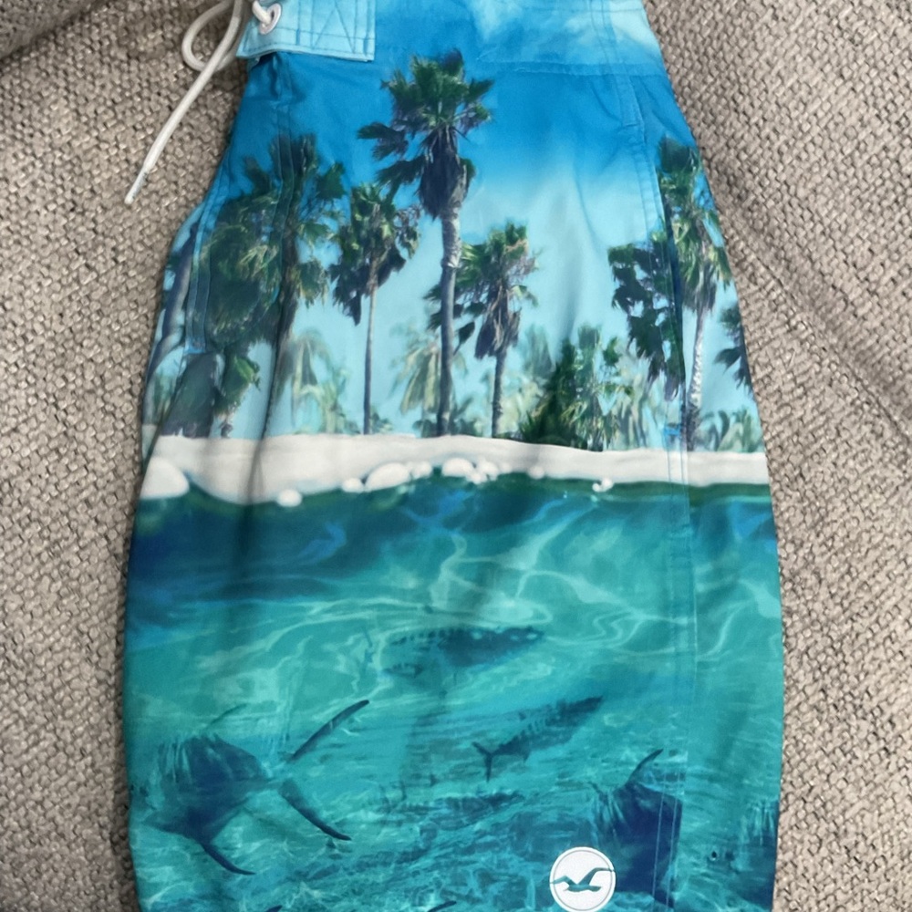 Hollister Blue Tropical Swim Shorts